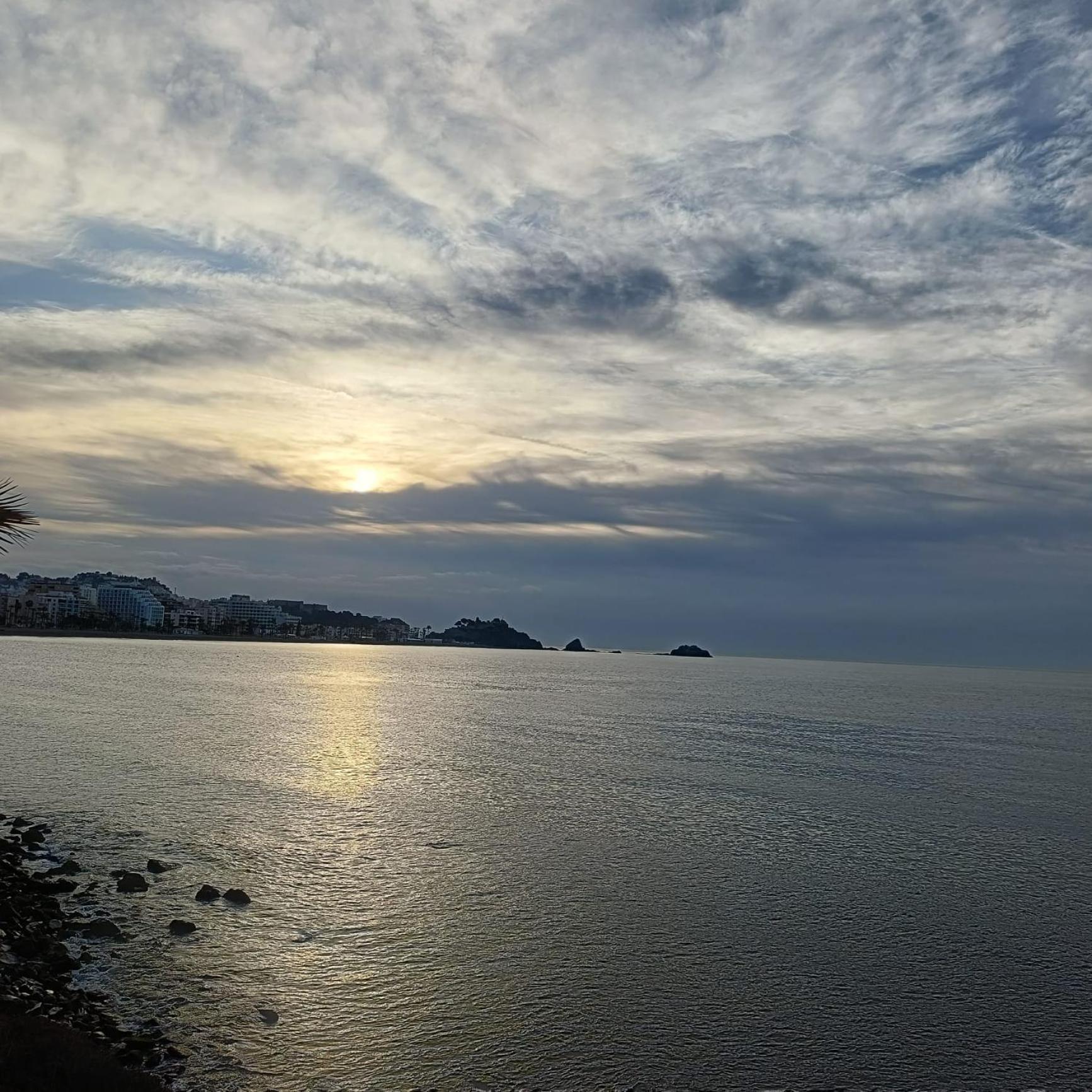Frida Almunecar Daire Oda fotoğraf